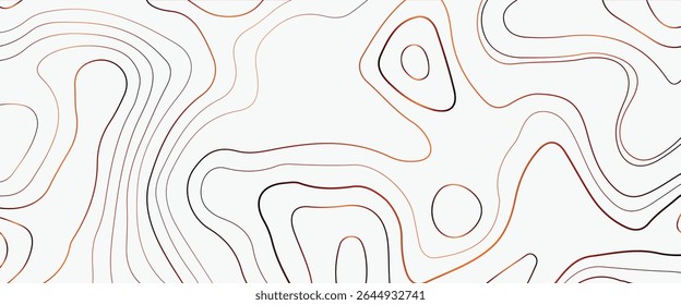 Topographic Contour Lines on White Background Vector Illustration.