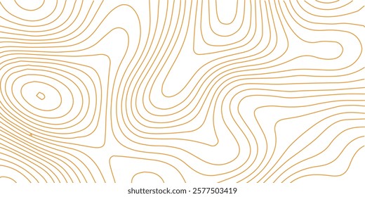 Topographic contour map. geometric category design Topography and geography map grid abstract backdrop. Business concept. Fish Fillet Texture, Salmon fillet texture, fish pattern. paper texture
