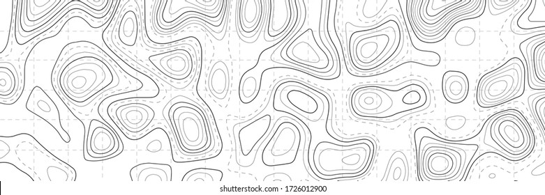 Topographic contour map on white background. Vector grid map.