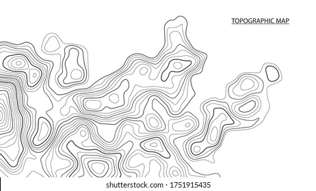 Topographic contour map on white background. Vector grid map.