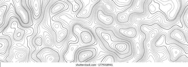 Topographic contour map on white background. Vector grid map.