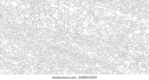 Topographic contour map. Vector cartography illustration. Topography and geography map grid abstract backdrop. Business concept. Fish Fillet Texture, Salmon fillet texture, fish pattern. paper texture