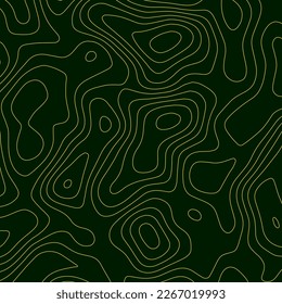 Topographic gold luxury map background. Geographic abstract pattern texture. The topo contour or wallpaper. Mountain trail terrain or path. Vector illustration.