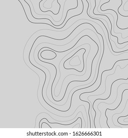 topographic illustration abstract height lines isolated on a gray background vector