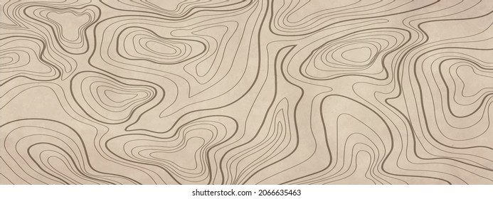 fondo del mapa de contorno de línea topográfica, mapa de cuadrícula geográfica	
