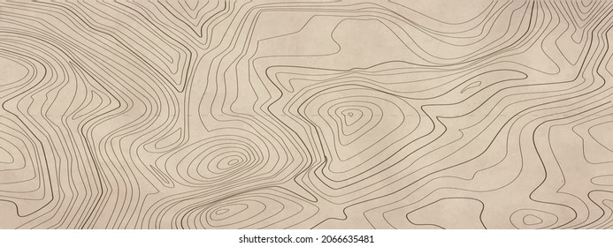 topographic line contour map background, geographic grid map	
