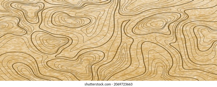 topographische Linienkontur-Kartenhintergrund, geografische Rasterkarte	