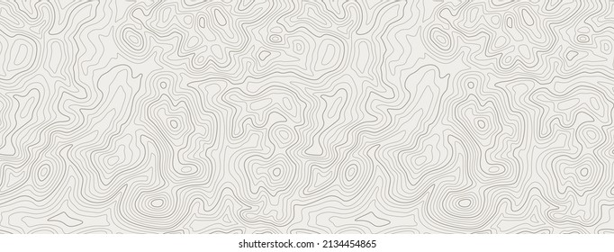 topographic line contour map background, geographic grid map, stock vector illustration svg
