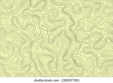 topographic line contour map background, geographic grid map, stock vector illustration, isolated, eps illustration