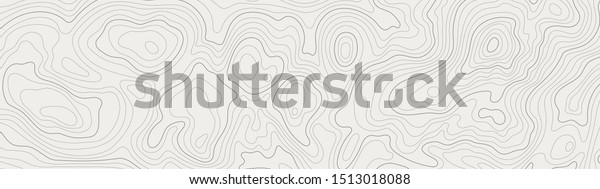 topographic line contour map background,\
geographic grid map, stock vector\
illustration