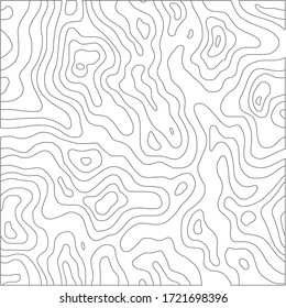 Topographic Line Pattern in Black and White