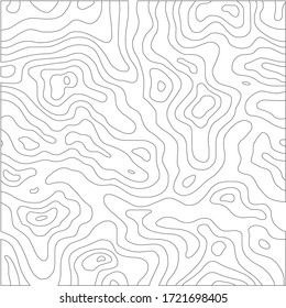 Topographic Line Pattern in Black and White