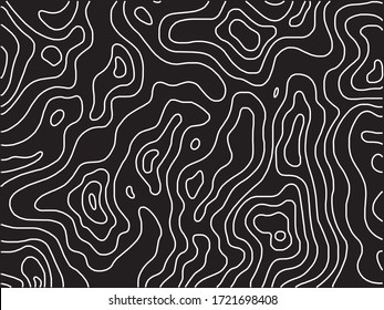 Topographic Line Pattern in Black and White