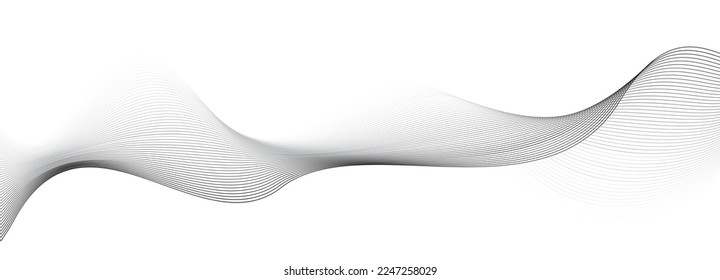 topographic line round lines abstract. Thin line wavy abstract vector background. Curve wave seamless pattern. the pattern of gray lines. Abstract background made of curved lines