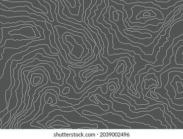 Topographic map abstract background. Outline cartography landscape. Topographic relief map on grey backdrop. Modern cover design with wavy lines. Vector illustration with weather map outline pattern