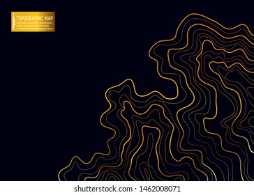 topographic map, abstract Golden height lines on black background vector