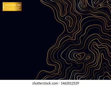 topographic map, abstract Golden height lines on black background vector