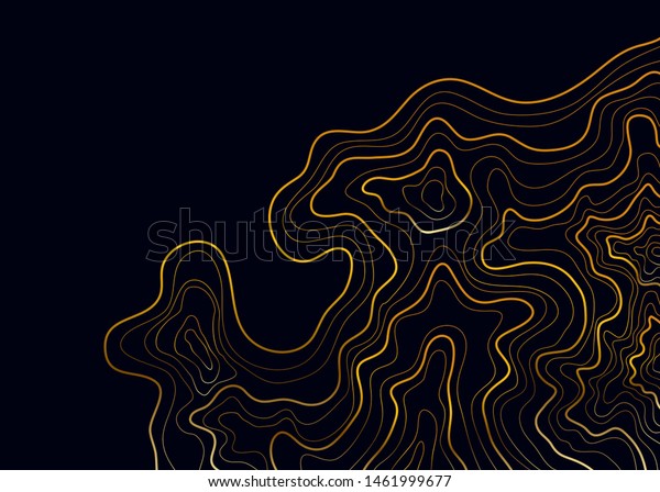 Topographic Map Abstract Golden Height Lines Stock Vector (Royalty Free ...