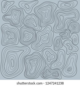 topographic map, abstract gray background, vector