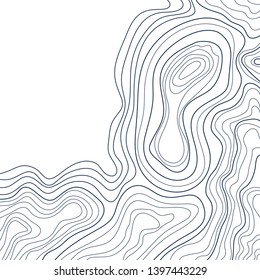 topographic map , abstract height lines on white background ,vector