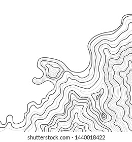 topographic map , abstract height lines vector