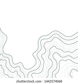 topographic map , abstract height lines vector isolated on white background