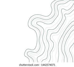 topographic map , abstract height lines vector