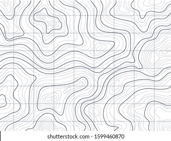 topographic map, abstract height lines on white background, vector