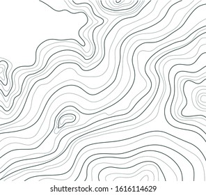 topographic map, abstract height lines isolated on white background vector