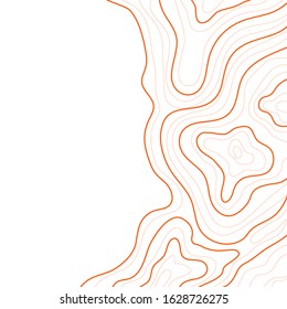 topographic map, abstract height lines isolated on white background vector