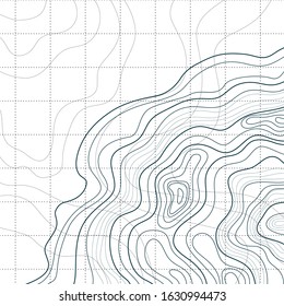 topographic map, abstract height lines isolated on a white background, vector