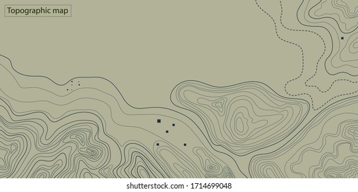 topographic map abstract height lines isolated on a green background vector