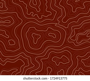 topographic map abstract height lines isolated on a brown background vector