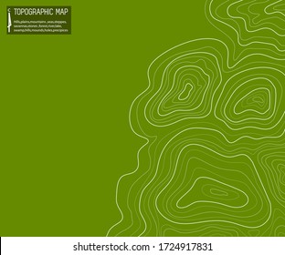 topographic map abstract height lines isolated on a green background vector