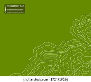 topographic map abstract height lines isolated on a green background vector