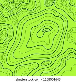topographic map, abstract image, wavy lines, vector