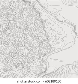 Topographic map. Abstract light gray background. Natural terrain stylization.Topographic contour relief map. Stylized linear land and water surface. Vector illustration.
