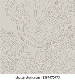 topographic map , abstract, line height ,vector