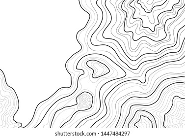 topographic map , abstract, line height, on a white background vector