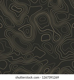 Topographic map background. Actual topography map. Seamless design. Fabulous tileable isolines pattern, vector illustration.