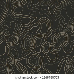 Topographic map background. Actual topography map. Seamless design. Delicate tileable isolines pattern, vector illustration.