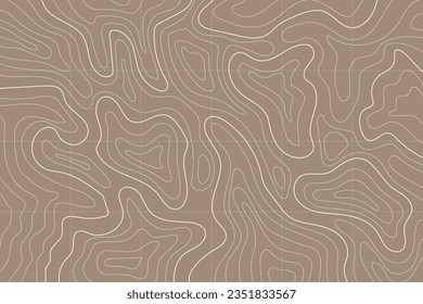Concepto de fondo del mapa topográfico. Fondo abstracto con diseño de mapas topográficos paisajísticos.