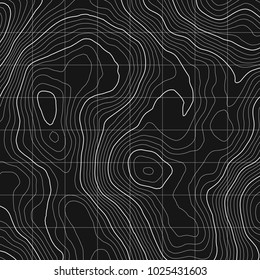 Topographic map background concept with space for your copy.Vector abstract illustration.Geography concept.