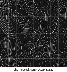 Topographic map background concept with space for your copy.Vector abstract illustration.Geography concept.