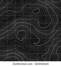 Topographic map background concept with space for your copy.Vector abstract illustration.Geography concept.