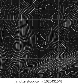 Topographic map background concept with space for your copy.Vector abstract illustration.Geography concept.