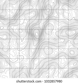 Topographic map background concept with space for your copy.Vector abstract illustration.Geography concept.