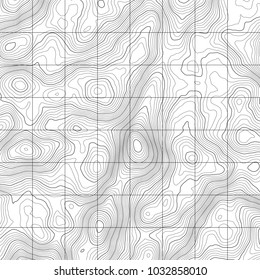 Topographic map background concept with space for your copy.Vector abstract illustration.Geography concept.
