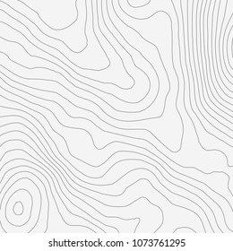 Topographic map background concept with space for your copy.Vector abstract illustration.Geography concept.
