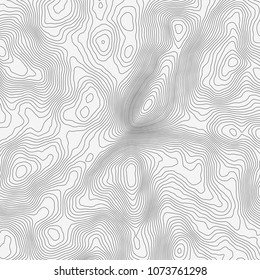 Topographic map background concept with space for your copy.Vector abstract illustration.Geography concept.
